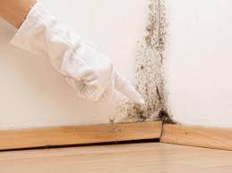 Why You Should Choose Our Mold Remediation Services in Towanda, PA